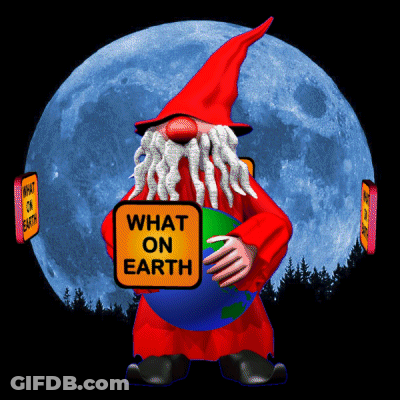 A Gnome Holding A Globe And A Sign That Says What On Earth GIF