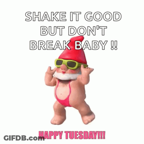 A Gnome Wearing Sunglasses And A Bikini Is Dancing With The Words Shake It Good But Don 'T Break Baby Happy Tuesday . GIF