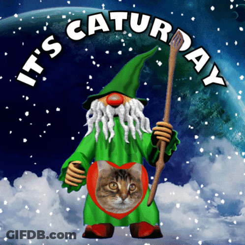 A Gnome With A Cat On His Chest And The Words It 'S Saturday Above Him GIF