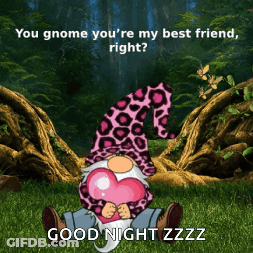 A Gnome With A Pink Leopard Print Hat Is Holding A Heart And Says " You Gnome You 'Re My Best Friend " GIF