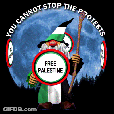 A Gnome With A Shield That Says Free Palestine GIF