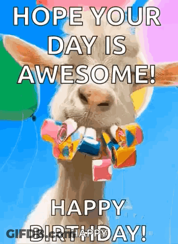 A Goat Is Holding Balloons In Its Mouth And Says Hope Your Day Is Awesome Happy Birthday . GIF