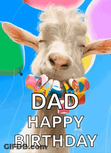 A Goat Is Wearing Balloons And A Party Horn In Its Mouth . GIF