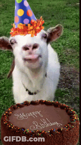 A Goat Wearing A Party Hat Next To A Birthday Cake GIF