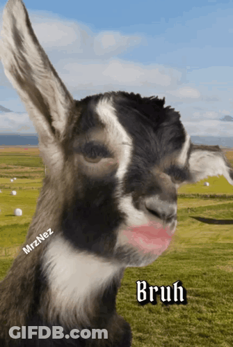 A Goat With A Pink Lip And The Word Bruh On It GIF
