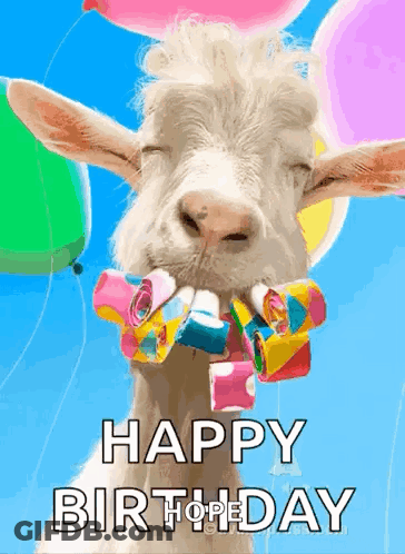 A Goat With Balloons In Its Mouth And The Words Happy Birthday On The Bottom GIF