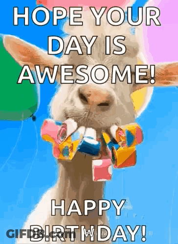 A Goat With Balloons In Its Mouth And The Words `` Hope Your Day Is Awesome ! '' GIF