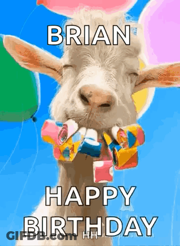 A Goat With Balloons In Its Mouth Says Happy Birthday GIF