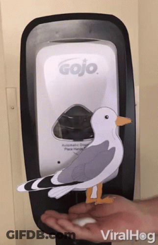 A Gojo Hand Sanitizer Dispenser With A Seagull Standing On It GIF