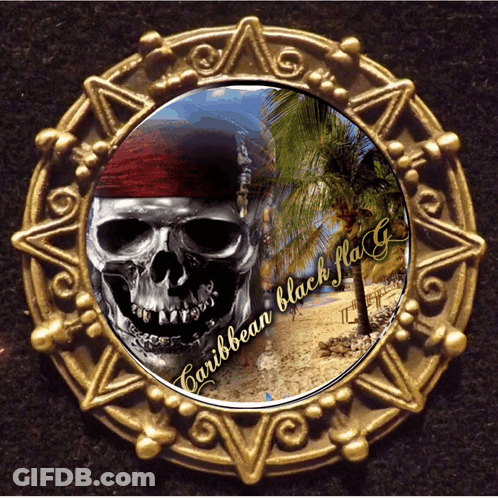 A Gold Coin With A Skull And The Words Caribbean Black Flag On It GIF