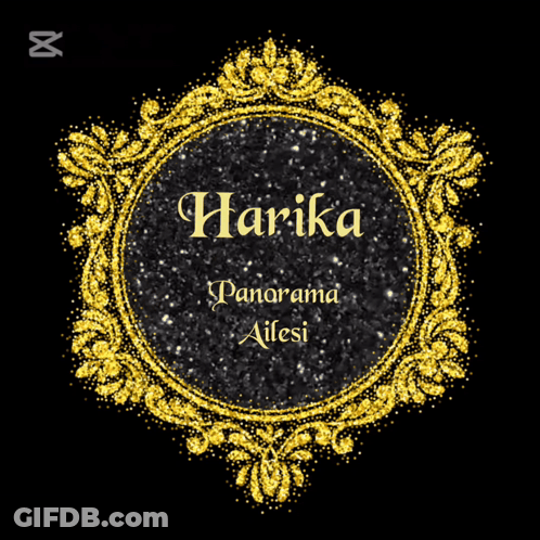 A Gold Frame With The Name Harika Panorama Ailesi GIF