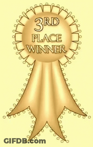 A Gold Ribbon With The Words 3Rd Place Winner Written On It GIF