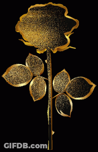 A Gold Rose With Black Leaves And A Black Stem GIF