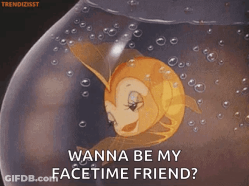 A Goldfish In A Fishbowl Says " Wanna Be My Facetime Friend ? " GIF