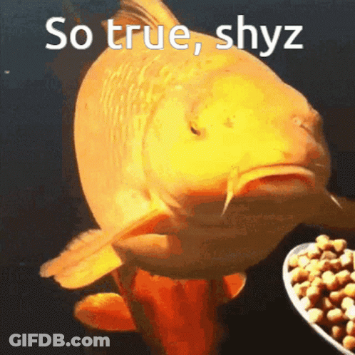 A Goldfish Is Looking At A Bowl Of Food With The Words So True Shyz Above It GIF