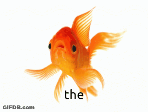 A Goldfish With The Word The On The Bottom Right GIF