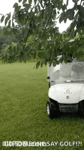 A Golf Cart Is Parked In A Grassy Field With The Words Did Someone Say Golf Written Below It GIF