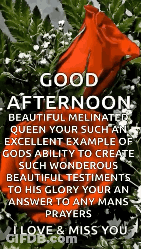 A Good Afternoon Beautiful Medicated Queen Your Such An Excellent Example Of Gods Ability To Create Such Wonderful Beaut GIF