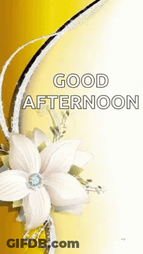 A Good Afternoon Card With A White Flower On A Yellow Background GIF
