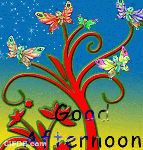 A Good Afternoon Card With Butterflies On A Tree Branch GIF