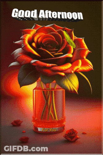 A Good Afternoon Greeting Card With A Red Rose In A Glass Vase GIF