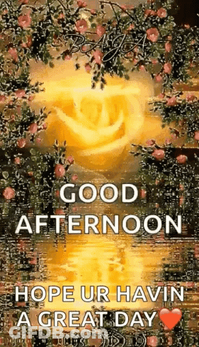 A Good Afternoon Greeting Card With A Rose And Flowers In The Background . GIF