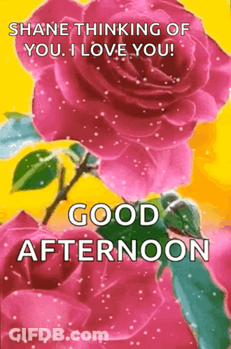 A Good Afternoon Greeting Card With Pink Roses And A Hummingbird GIF