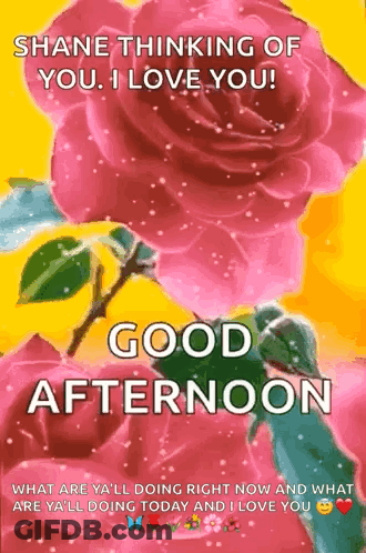 A Good Afternoon Greeting Card With Pink Roses GIF