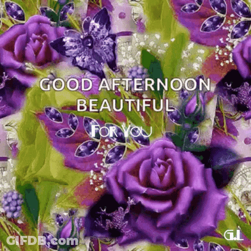 A Good Afternoon Greeting Card With Purple Roses And Butterflies GIF