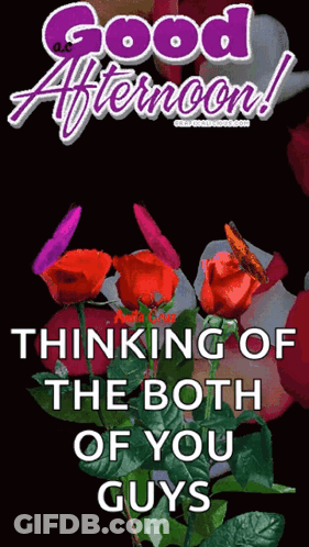A Good Afternoon Greeting Card With Roses And Butterflies GIF