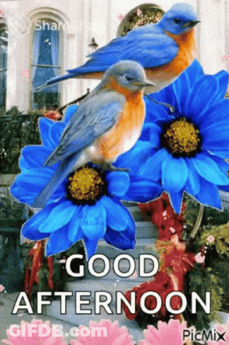 A Good Afternoon Greeting With Blue Flowers And Two Birds GIF