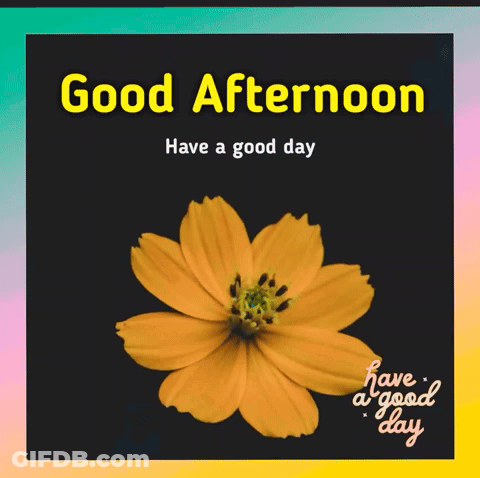 A Good Afternoon Message With A Yellow Flower GIF