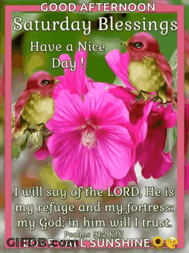 A Good Afternoon Saturday Blessings Have A Nice Day Card With Pink Flowers And Birds GIF