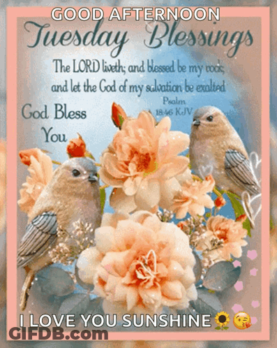 A Good Afternoon Tuesday Blessings Card With Two Birds And Flowers GIF