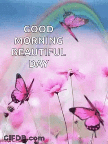 A Good Morning Beautiful Day Greeting Card With Pink Butterflies Flying Over Pink Flowers . GIF