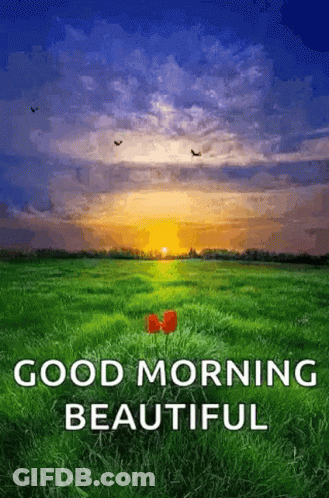 A Good Morning Beautiful Greeting Card With A Field Of Grass And A Sunset In The Background GIF