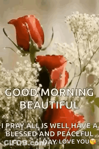 A Good Morning Beautiful I Pray All Is Well Have A Blessed And Peaceful Day Love You . GIF