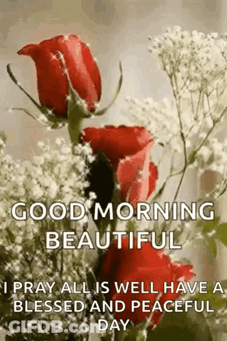 Good Morning Beautiful Red Roses GIF