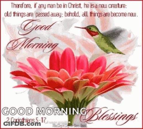 A Good Morning Blessing Card With A Hummingbird And A Flower GIF