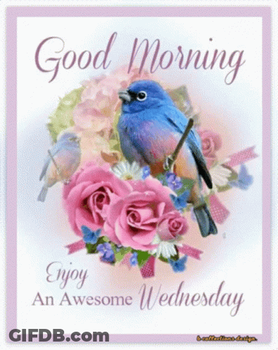 A Good Morning Card With A Bird Sitting On A Bouquet Of Pink Roses . GIF