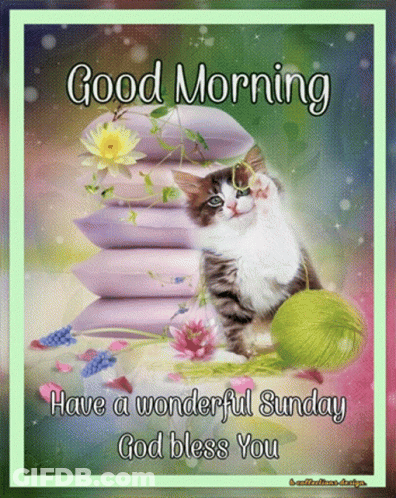 A Good Morning Card With A Cat Sitting On A Pile Of Pillows GIF