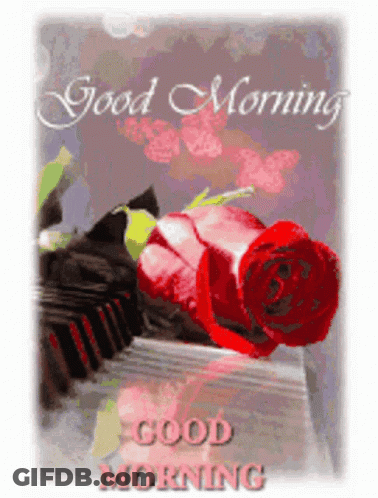A Good Morning Card With A Red Rose On A Table GIF