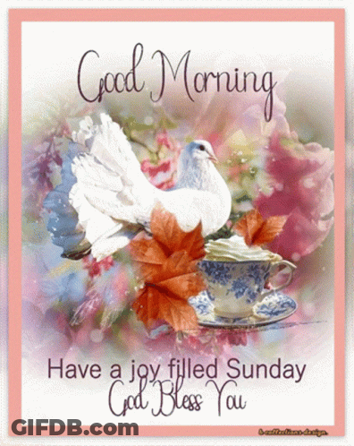 A Good Morning Card With A White Dove And A Cup Of Tea GIF