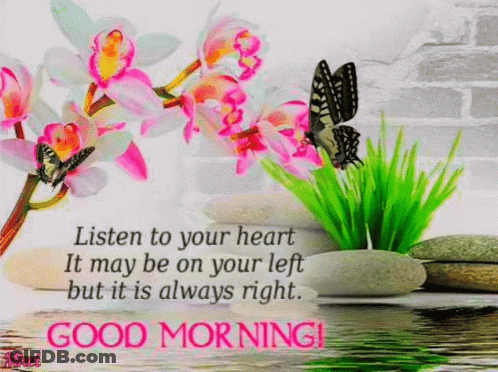 A Good Morning Card With Flowers , Rocks And Butterflies GIF