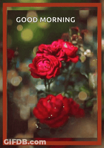 A Good Morning Card With Red Roses And A Heart On It GIF