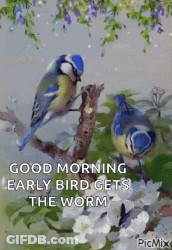 A Good Morning Early Bird Gets The Worm GIF