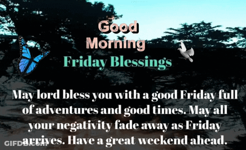A Good Morning Friday Blessings Message With A Butterfly And A Dove GIF