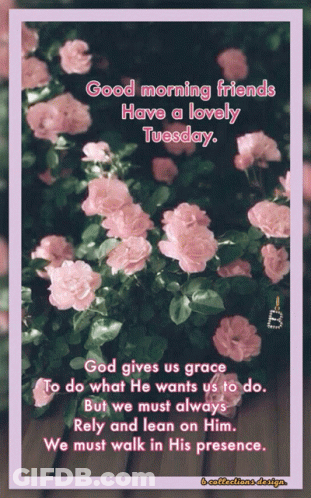 A Good Morning Friends Have A Lovely Tuesday Greeting Card GIF