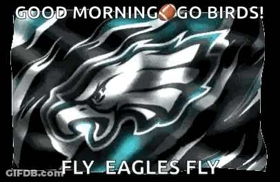 A Good Morning Go Birds ! Fly Eagles Fly ! GIF