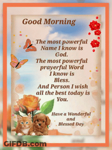 A Good Morning Greeting Card With A Cat And A Dog GIF